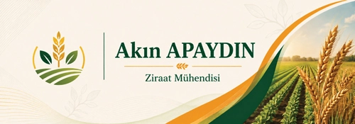 3D Blok İsimlik 181