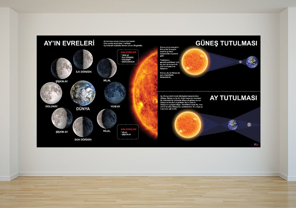 Ay’ın Evreleri ve Tutulmalar Okul Posteri