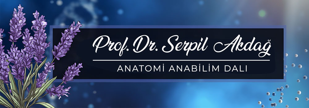 3D Blok İsimlik 45