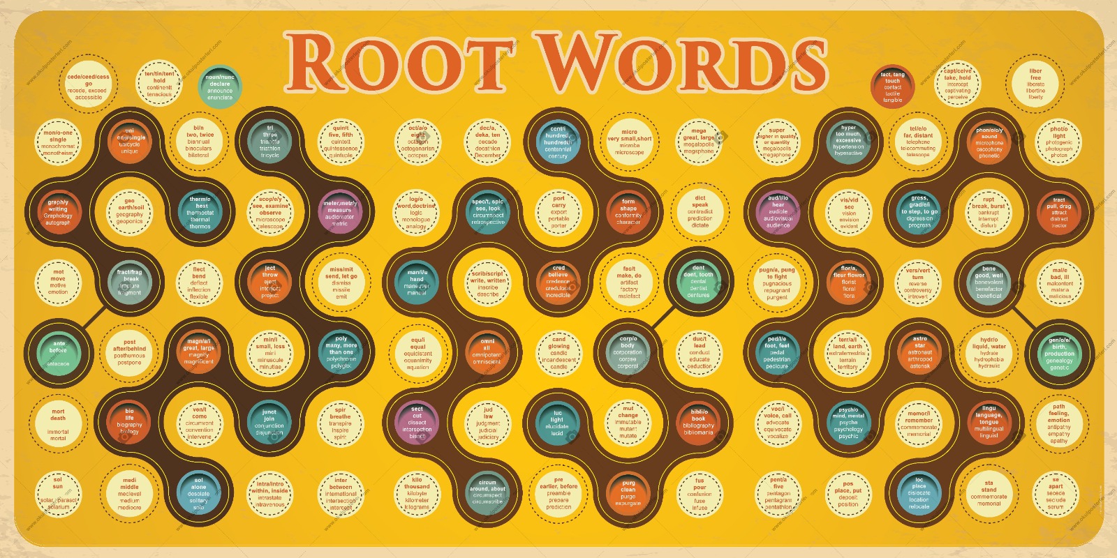 Root Woords