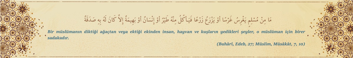 İmam Hatip Kiriş Yazıları 41