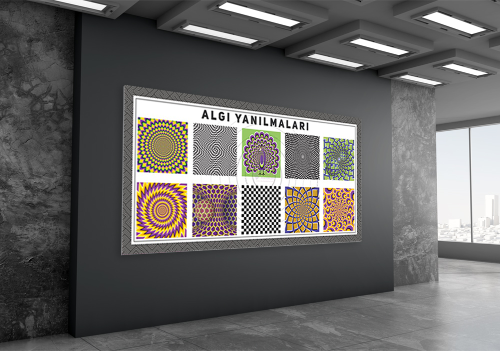 Algı Yanılmaları Okul Posteri