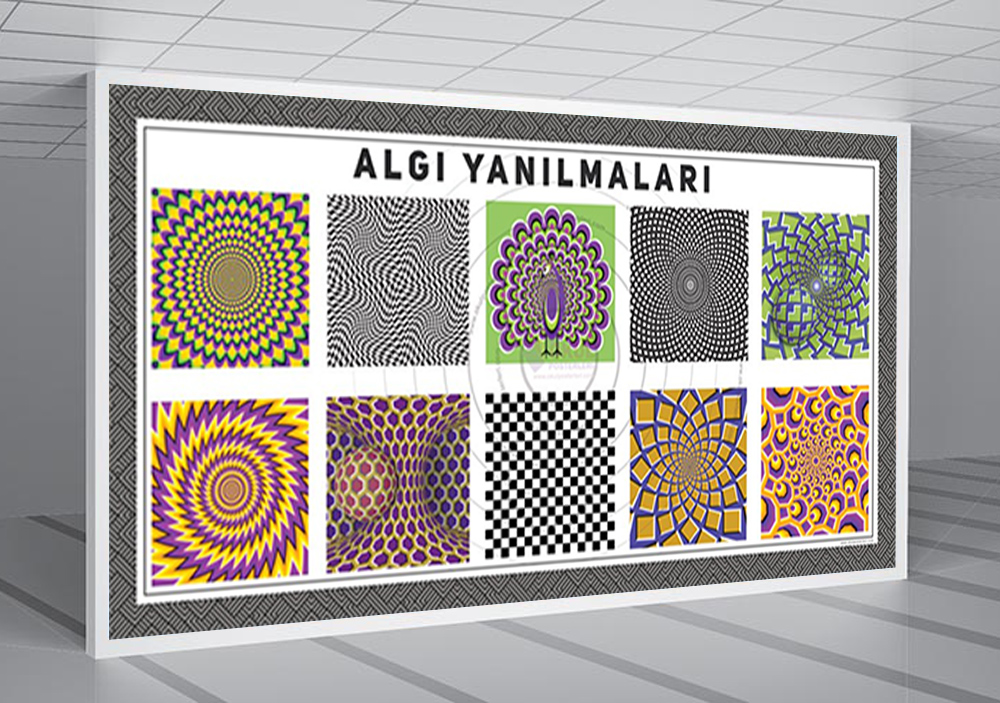 Algı Yanılmaları Okul Posteri