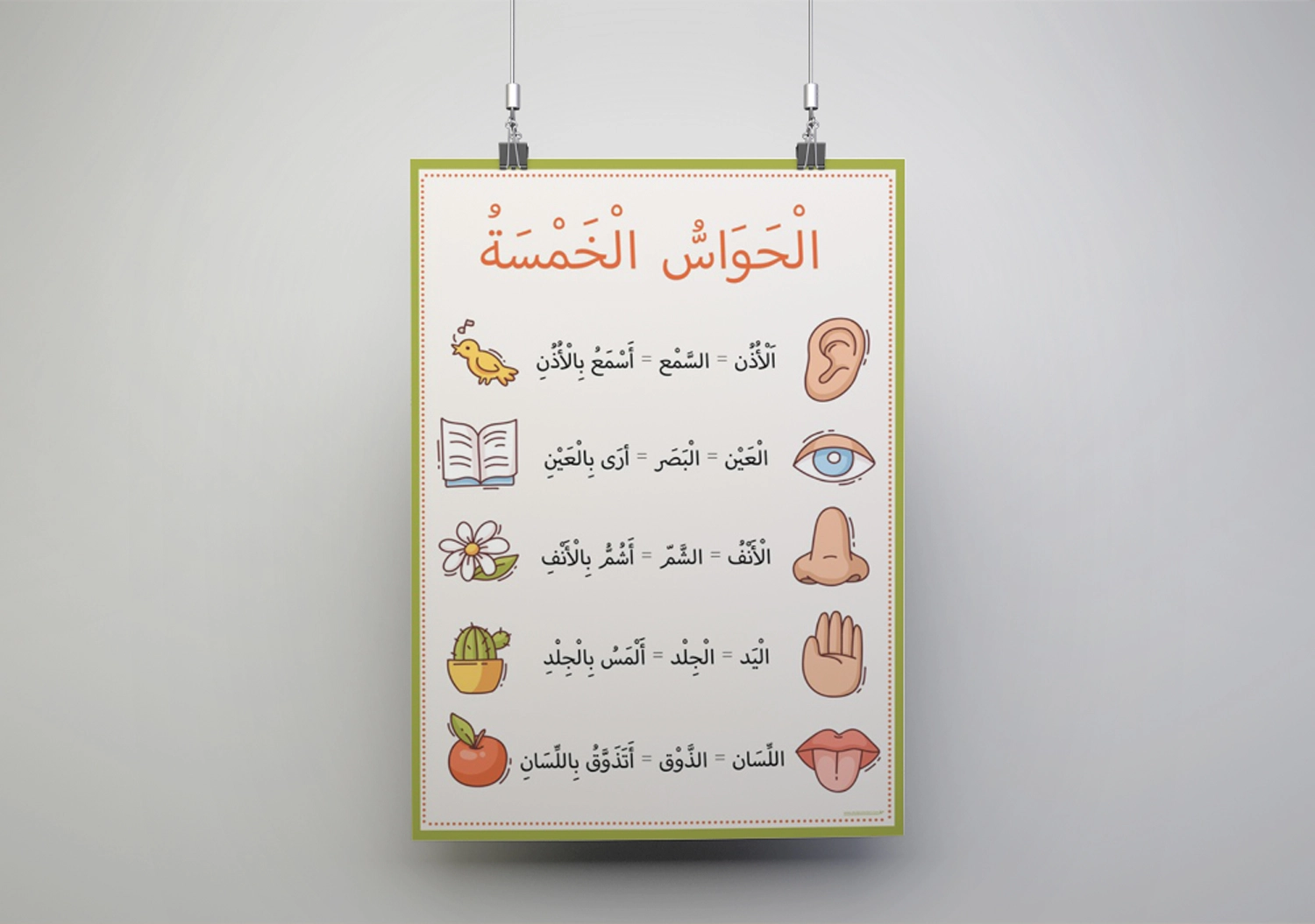 Arapça Beş Duyu Organımız ve Görevleri Okul Posteri