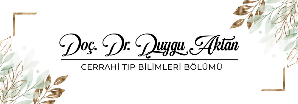 3D Blok İsimlik 108