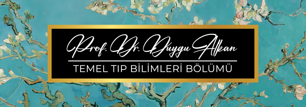 3D Blok İsimlik 116