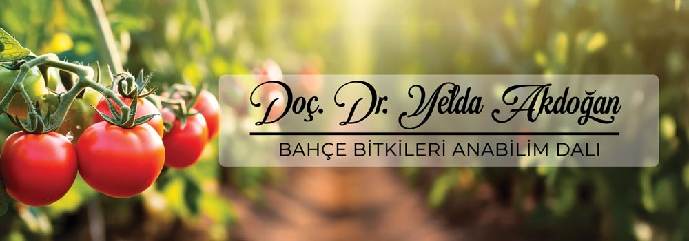 3D Blok İsimlik 51