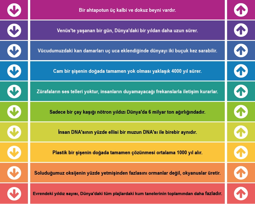 Eğitim Merdiven Yazısı 7
