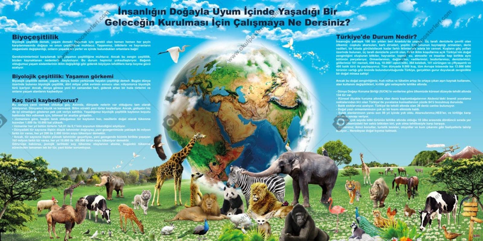 Biyoçeşitlilik Okul Posteri