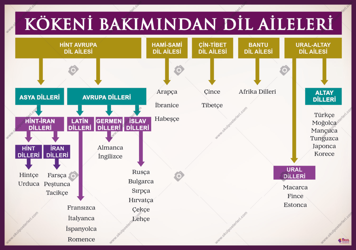 Kökeni Bakımından Dil Aileleri