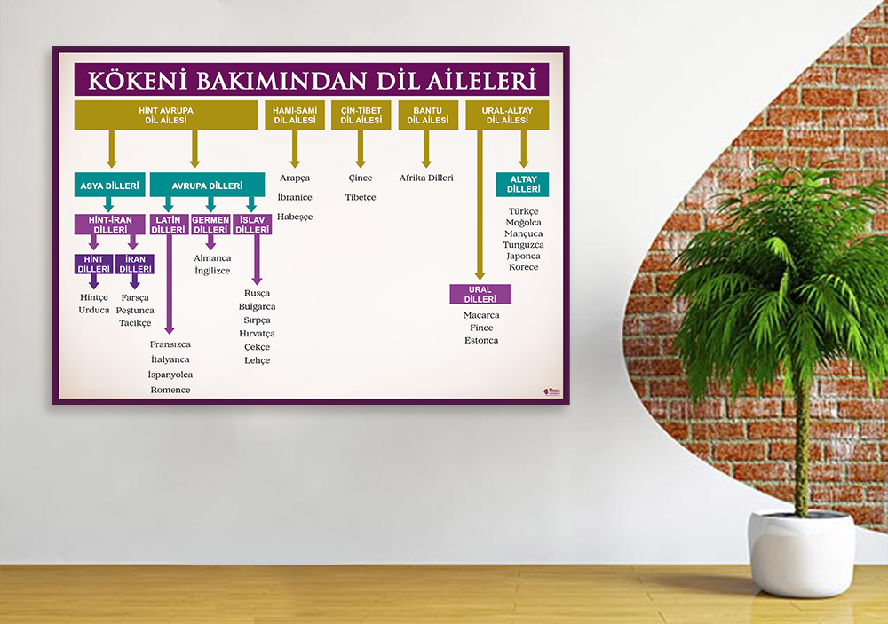 Kökeni Bakımından Dil Aileleri