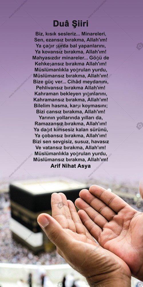 ARİF NİHAT ASYA EDEBİYAT OKUL POSTERİ