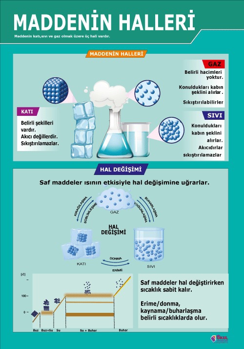 Maddenin Halleri Okul Afişi