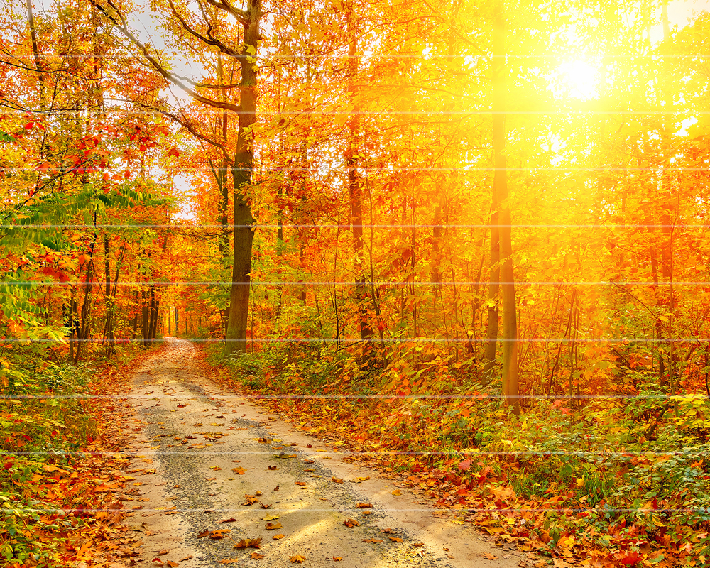 Doğa Manzara Merdiven Giydirme-6