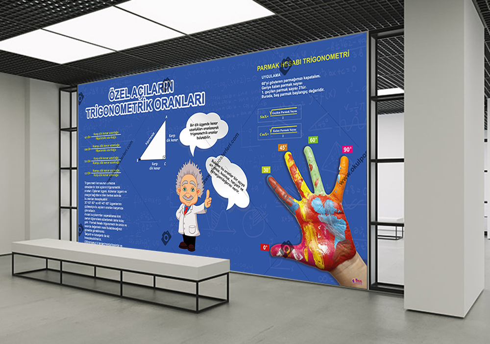 Özel Açıların Trigonometrik Oranları Okul Posteri