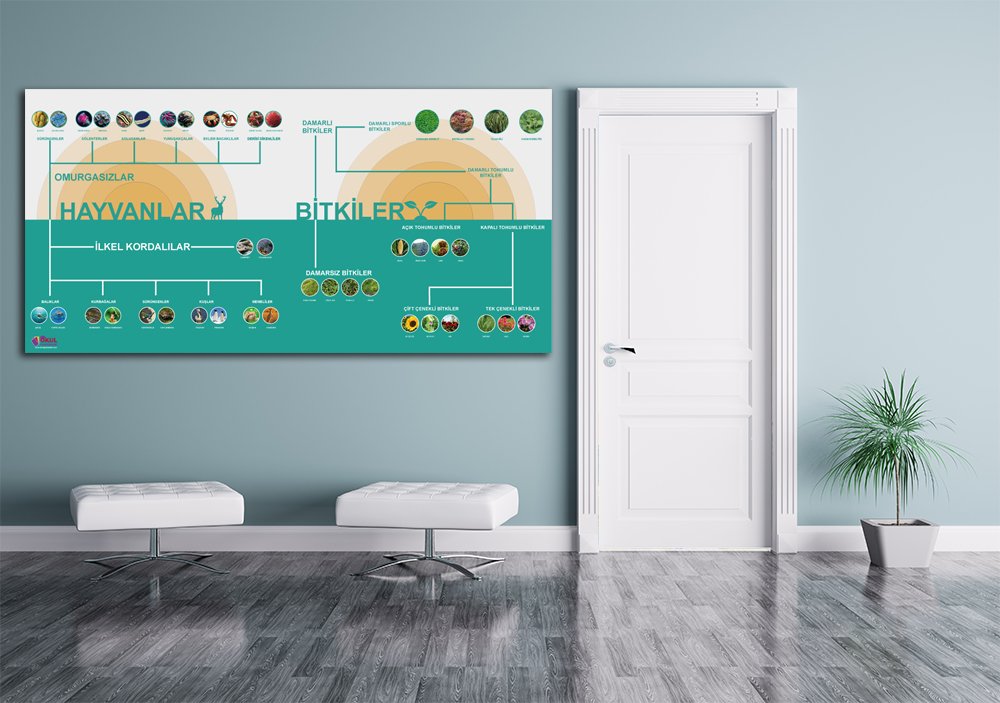 Bitkiler-ve-Hayvanlar Okul Posteri