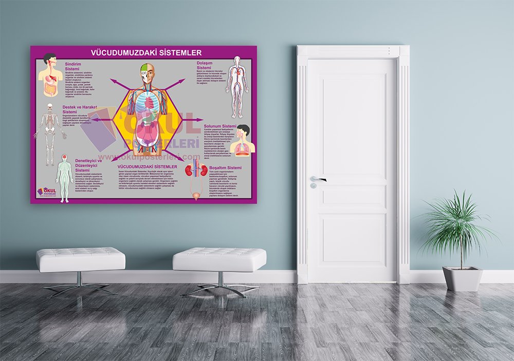 Vücudumuzdaki Sistemler Okul Posteri
