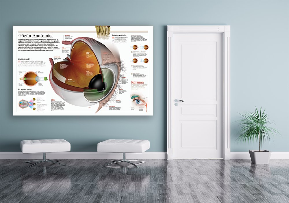 Gözün-Anatomisi Okul Posteri