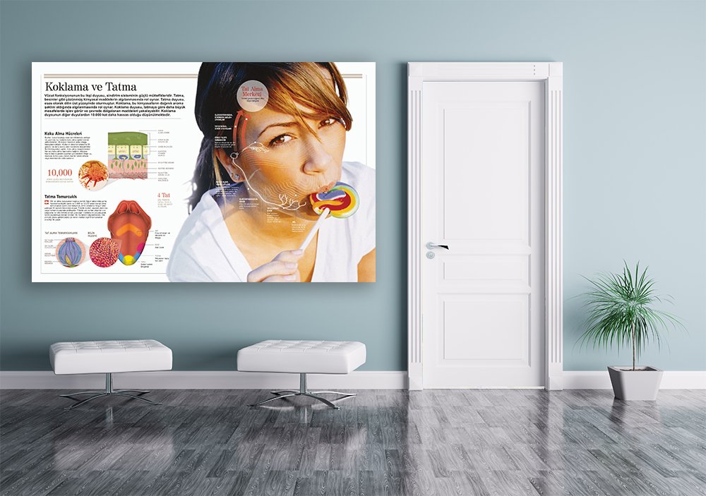 Koklama ve Tatma Okul Posteri