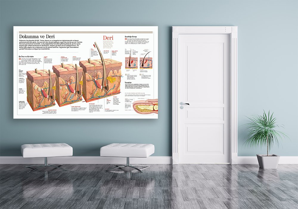Dokunma ve Deri Okul Posteri