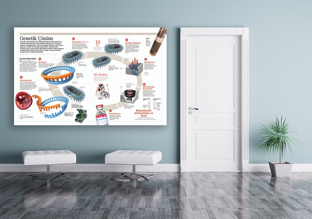 Genetik Çözüm Okul Posteri