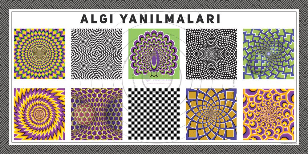 Algı Yanılmaları Okul Posteri