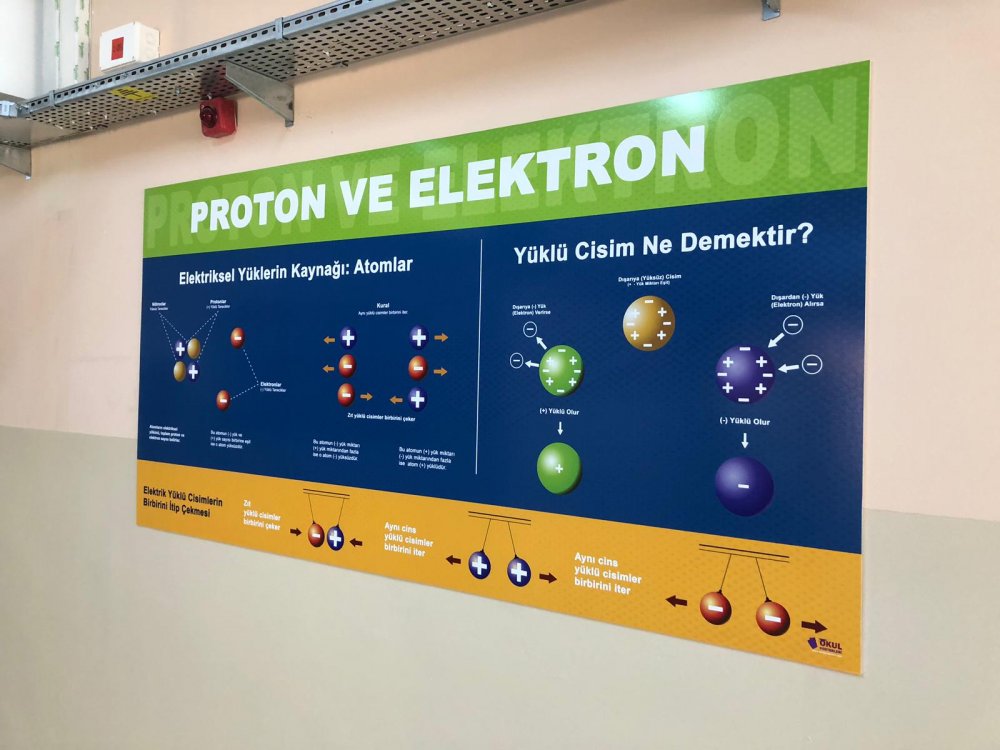 Proton ve Nötron Okul Posteri