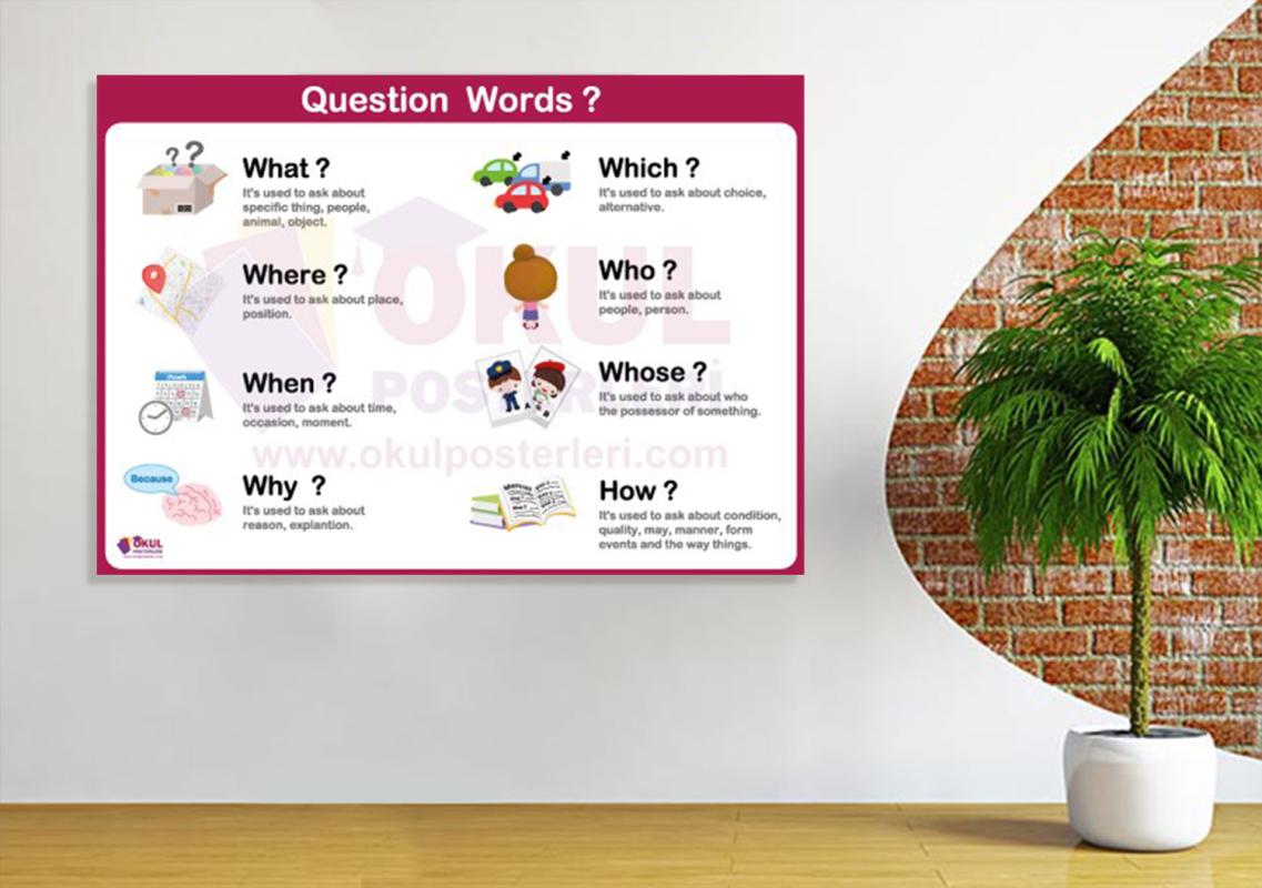 Question Words
