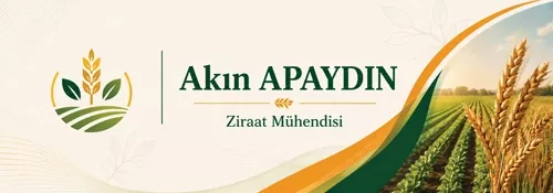 3D Blok İsimlik 181