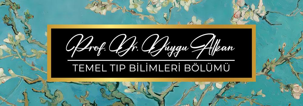 3D Blok İsimlik 116