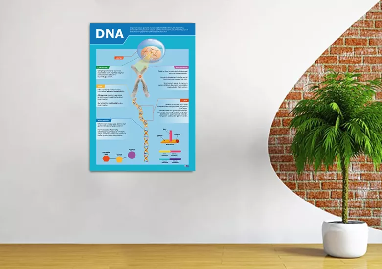 DNA Fen Afişi