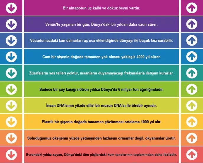 Eğitim Merdiven Yazısı 7
