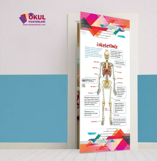 İskelet sistemi Kapı Giydirme