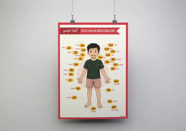 Arapça Vücudumuzun Bölümleri Okul Posteri