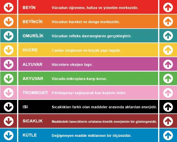 Fen Bilimleri Merdiven Yazısı 9