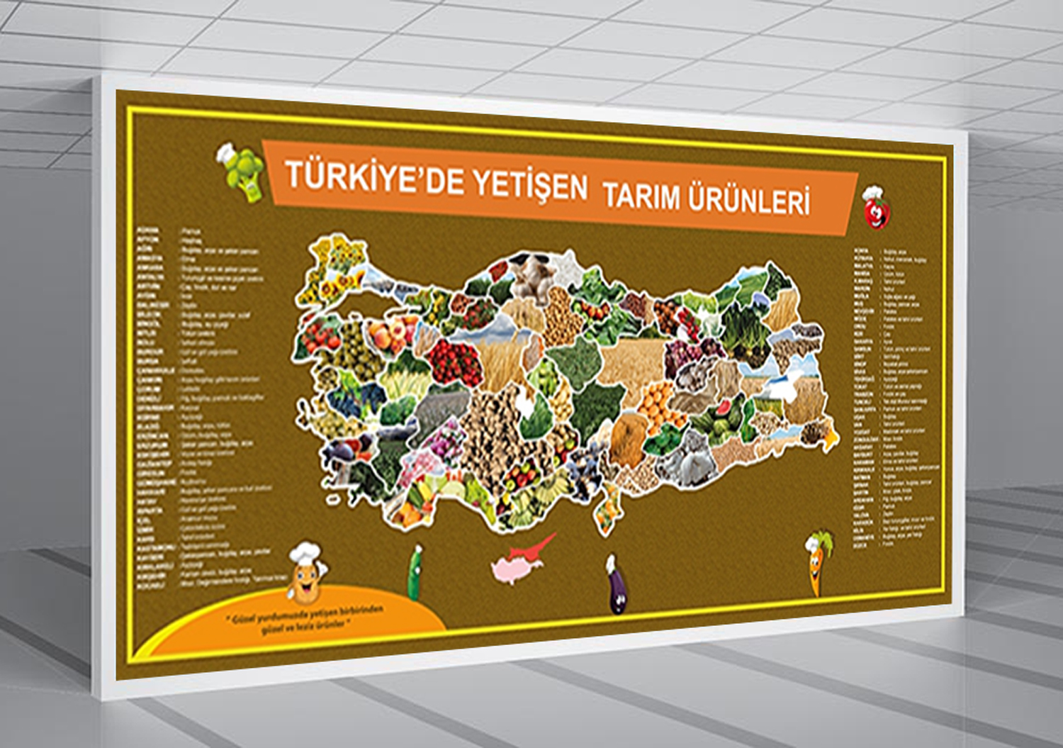 Türkiye’de Yetişen Tarım Ürünleri Okul Posteri