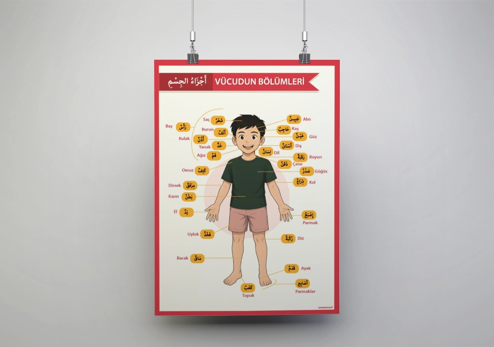 Arapça Vücudumuzun Bölümleri Okul Posteri