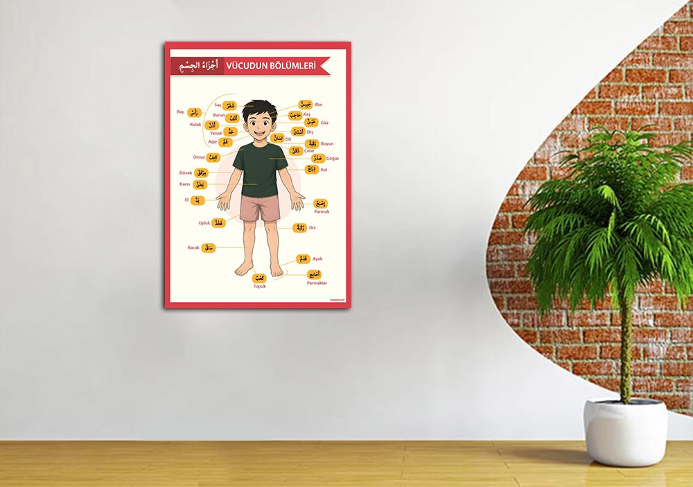 Arapça Vücudumuzun Bölümleri Okul Posteri