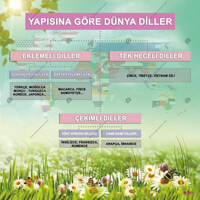 Yapısına Göre Dünya Dilleri